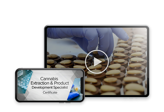 Cannabis Extraction and Product Development Specialist Program Webinar